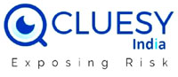 Cluesy India
